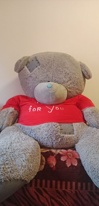 Teddy  yumshoq oʻyinchoq