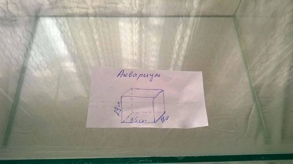 Стъклен аквариум.