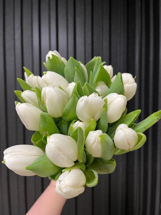 Тюльпаны оптом к 8 марта | Свежая срезка