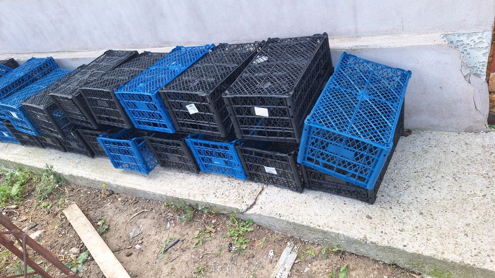 Vand ladite pentru struguri