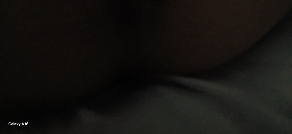 Даром даром даром кошка