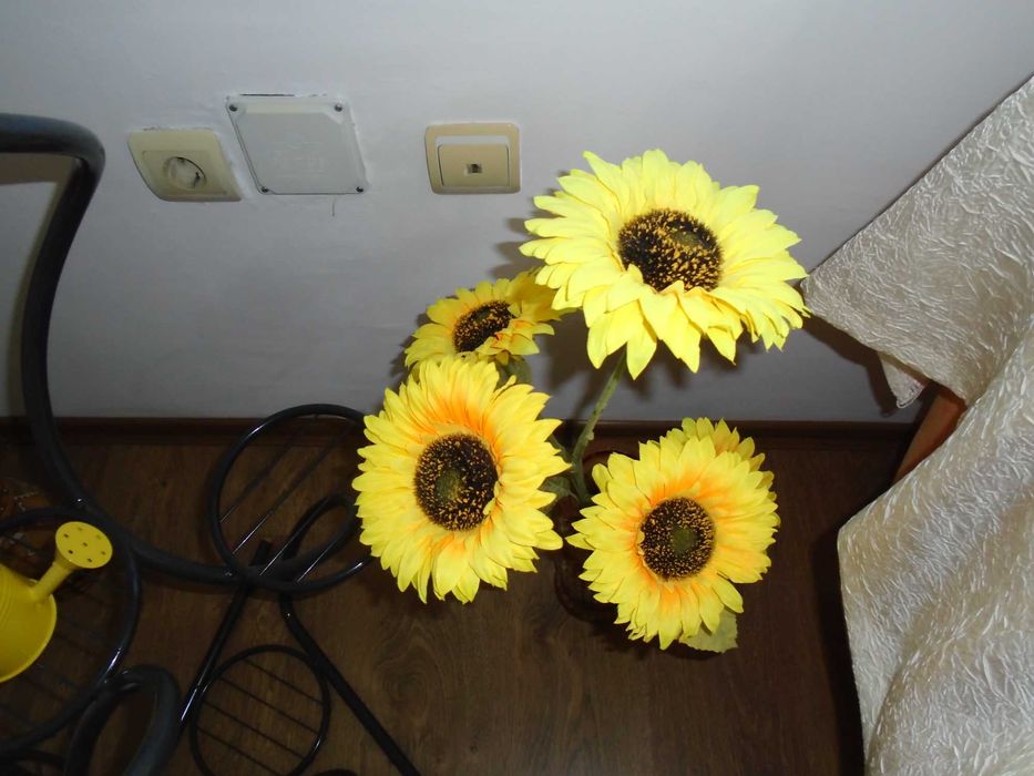 Sony Cyber-shot DSC-W800 20.1МРх