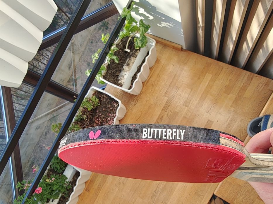 Butterfly Viscaria ALC