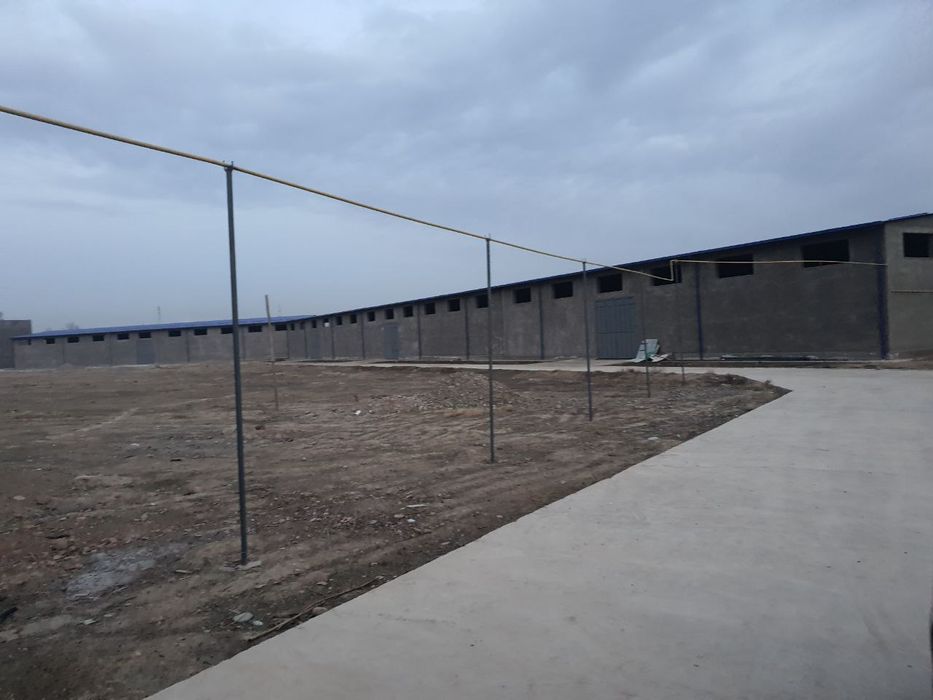 Ташкентская область. Чиназский район. ( мост Яллама). База на 2.6