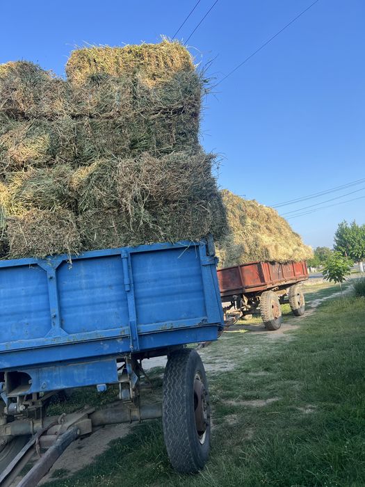 Baloti de lucerna si iarba cu lucerna