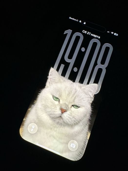 Iphone 16 Pro в идеале