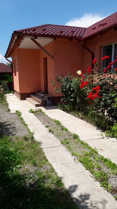 Vanzare casă + livada + teren