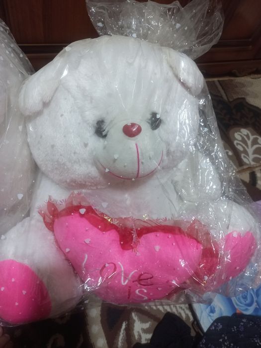 Yangi oq rangdagi ayiqlar