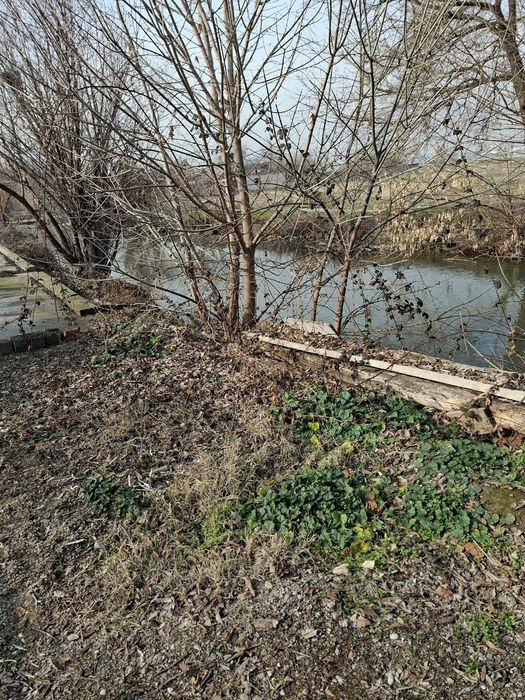 Участок с готовым проектом, возле речки