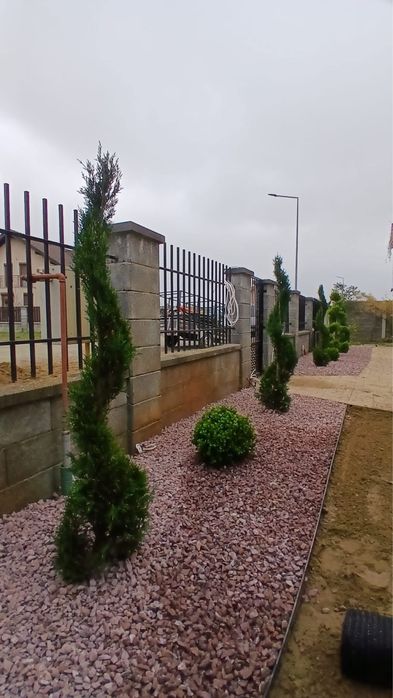 Amenajări spații verzi