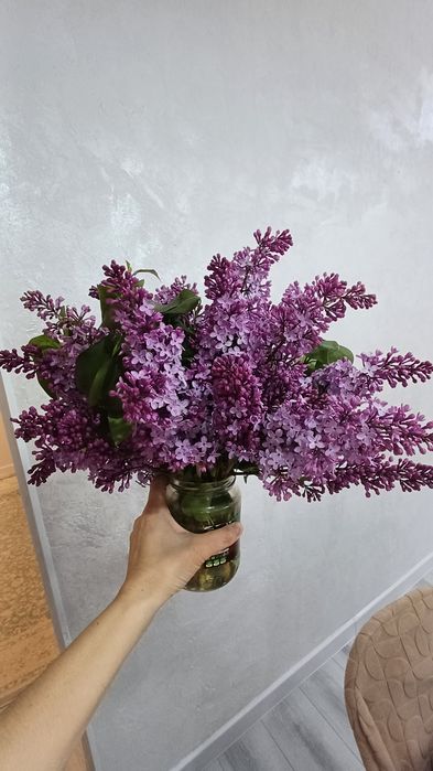 Сирень 1000тг ...и вышеее