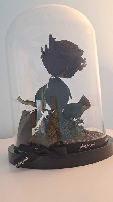 Ръчно направена вечна черна роза под стъклен похлупак