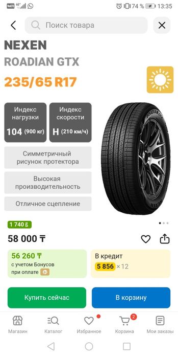 Шины Nexen Rodian Gtx