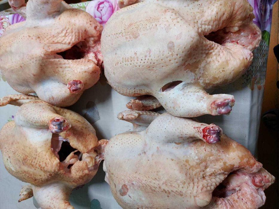 Свежие домашние бройлеры