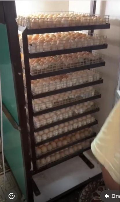 Продается инкубатор