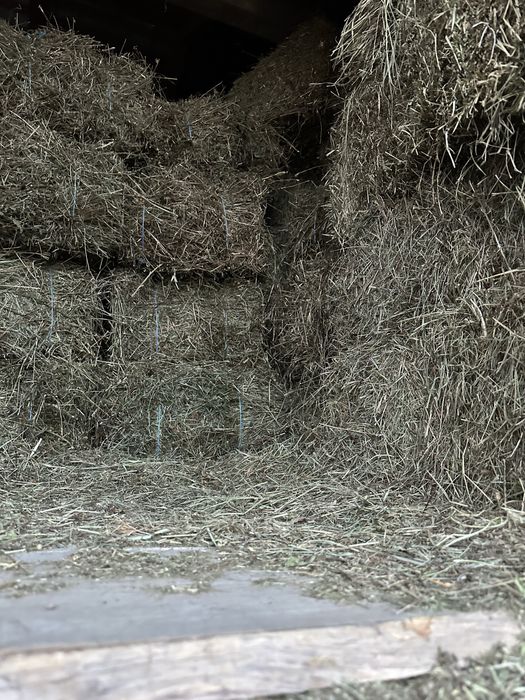 Baloti de otava vanzare