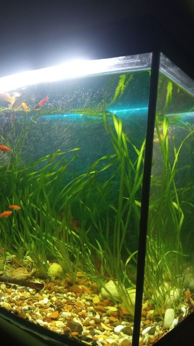 Продам аквариум 105 литров