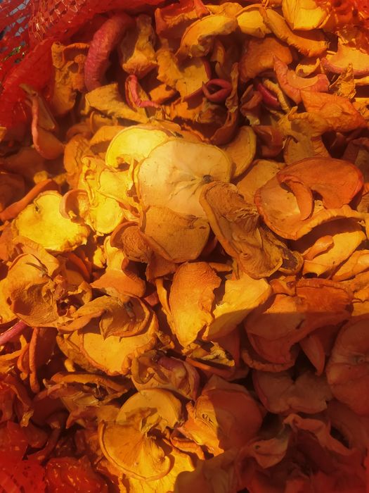 Алма, алхор қағын сатамын. Продам сухофрукты яблок и слив