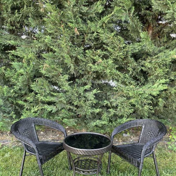 Луксозен комплект - Висящ Ратанов стол люлка + маса и 2 стола Relax 1