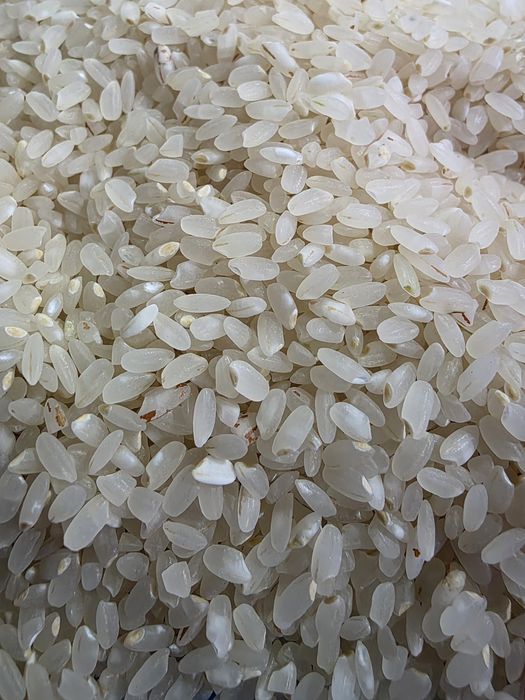 Қызылорда лық күріш, рис, курыш