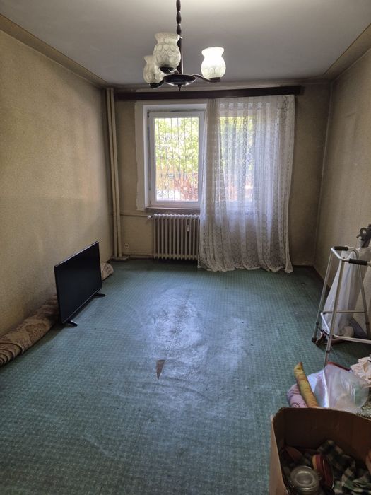 Garsoniera / Teiul Doamnei