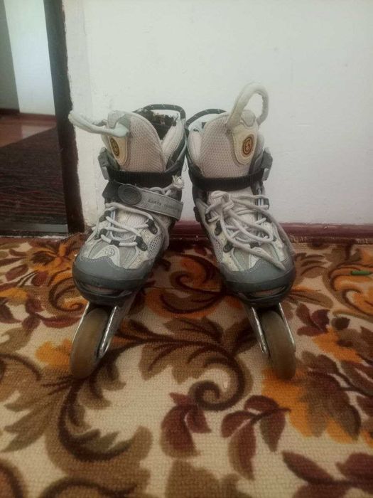 Rolik 35dan 38gachon keladi