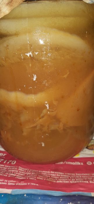 Продам чайный гриб.