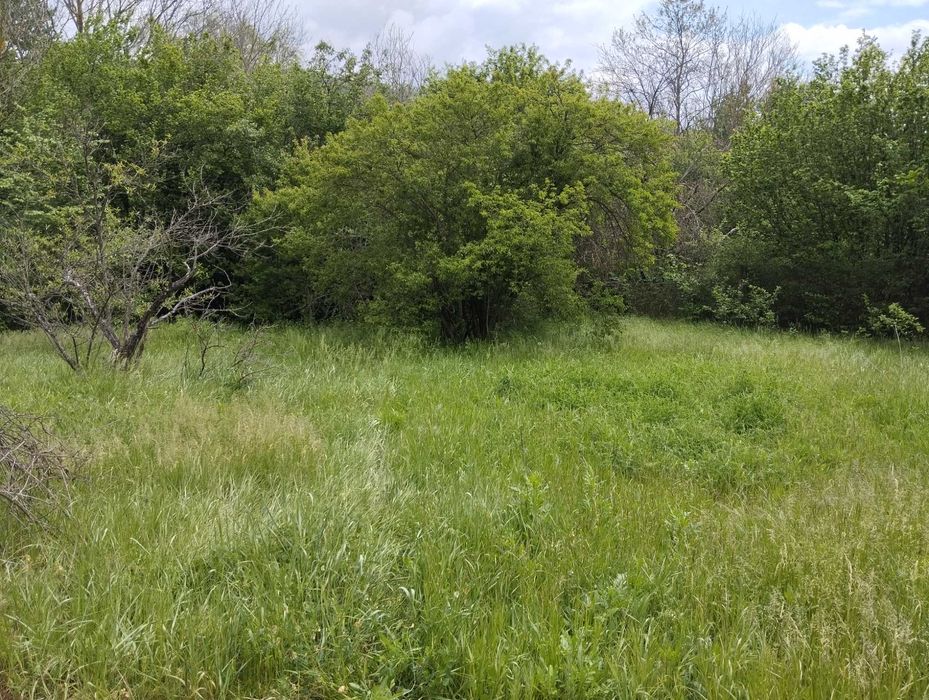 Продава се Къща в с. Долище, Област Варна - 60 кв.м за 1484 €/кв.м - Снимка #18