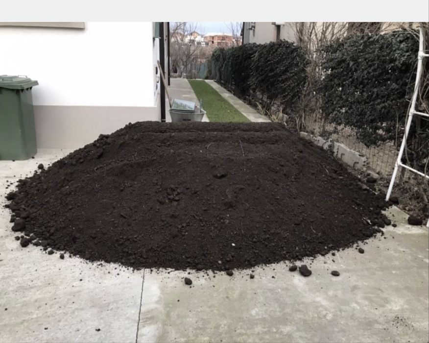 Pamant negru vegetal