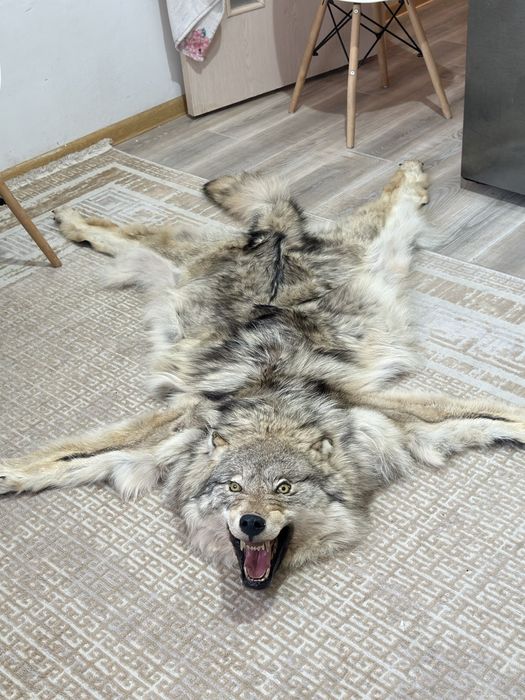 Продам чучело животного