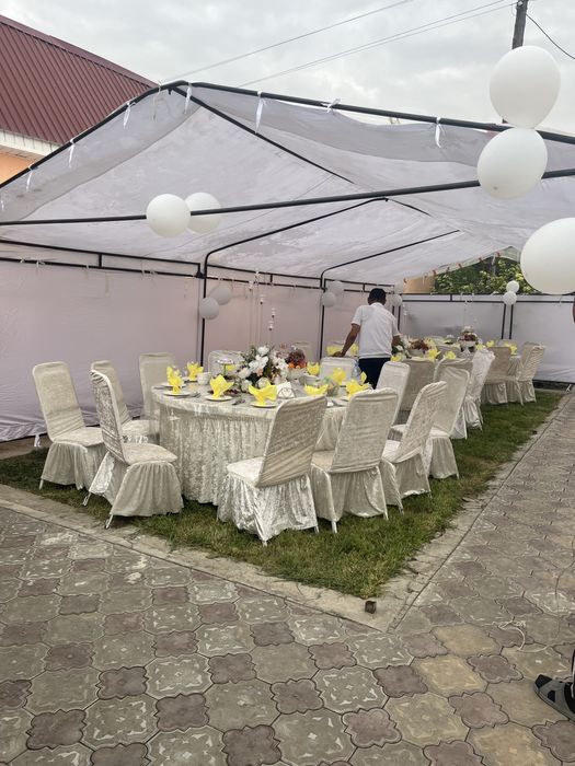 Прокат палатка и посуды