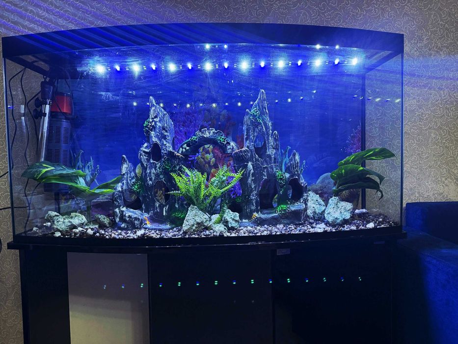 Продаётся аквариум 250 литров