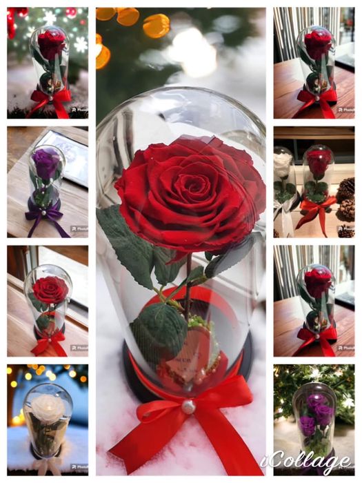 Cupole cu trandafiri criogenati cadou 1-8 Martie