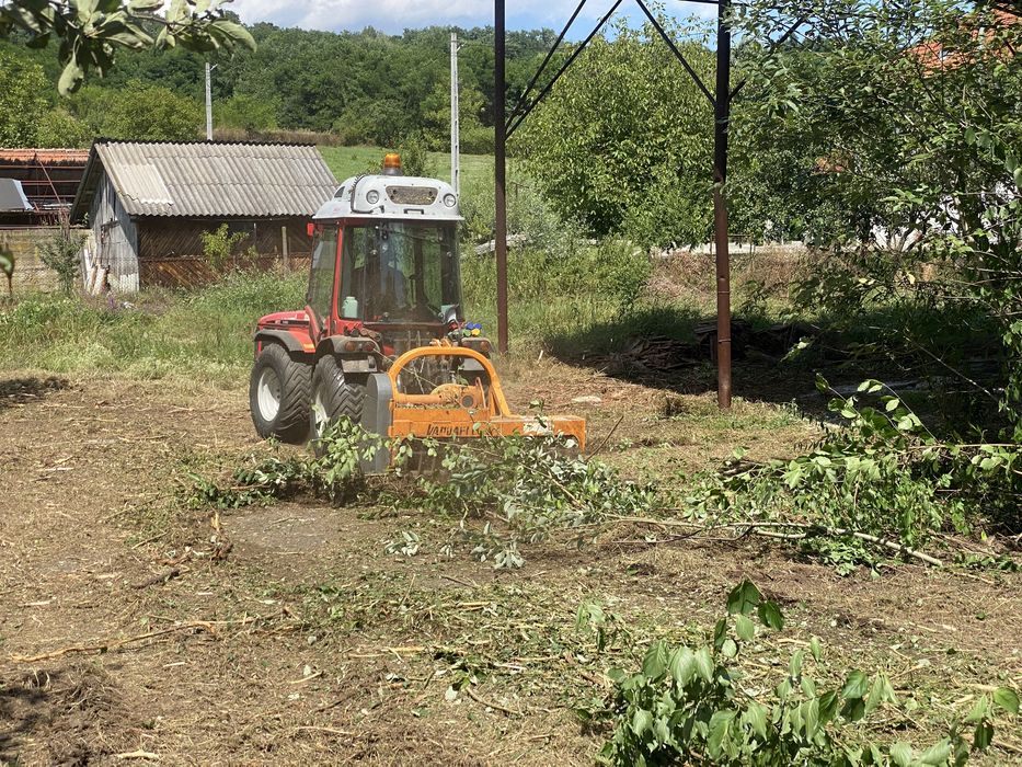 Curatare teren, defrisare teren, defrisari, curatat teren, igienizare