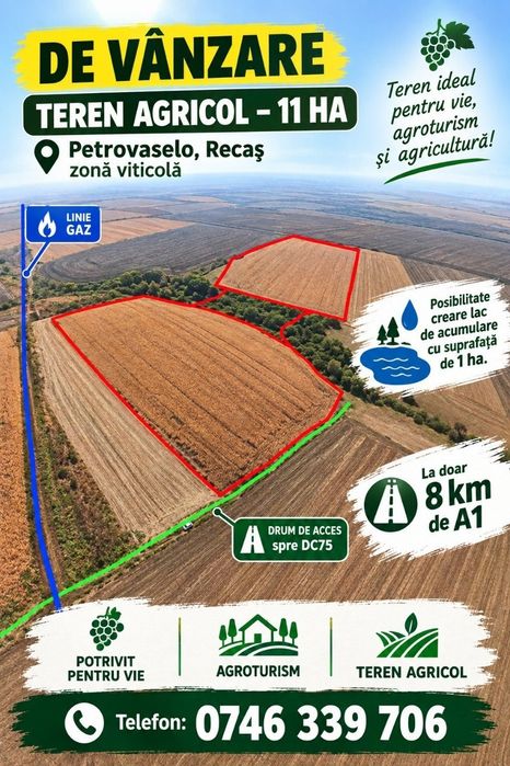 Propietar -Teren 11 ha  comasat –Petrovaselo, Recaș | vie / investiție
