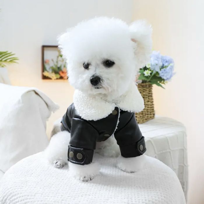 Дрехи, аксесоари и играчки за кучета