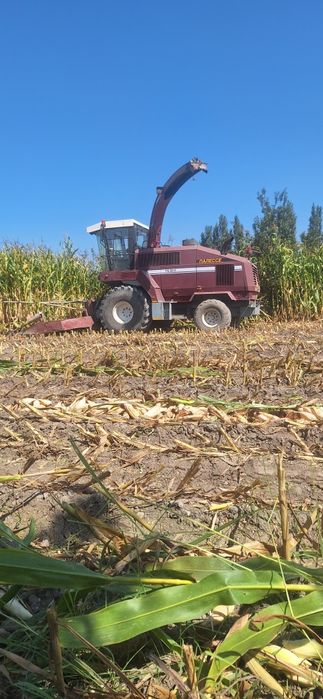 Комбайн Полици КВК800