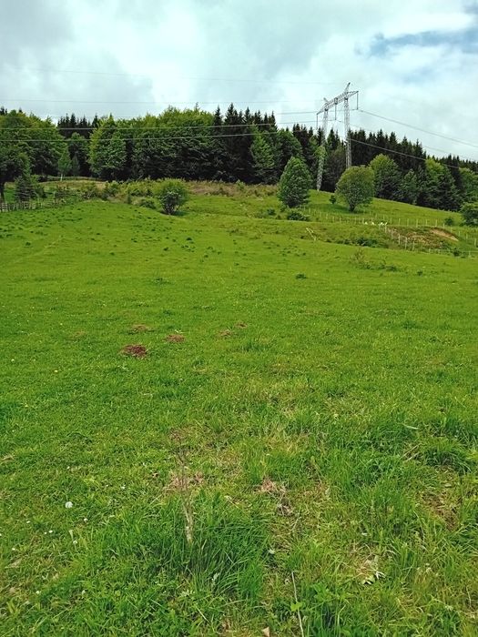 Vând teren intravilan Valean Doftanei zona poduri