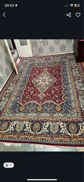 Yangi gilam rangi zor neobichniy