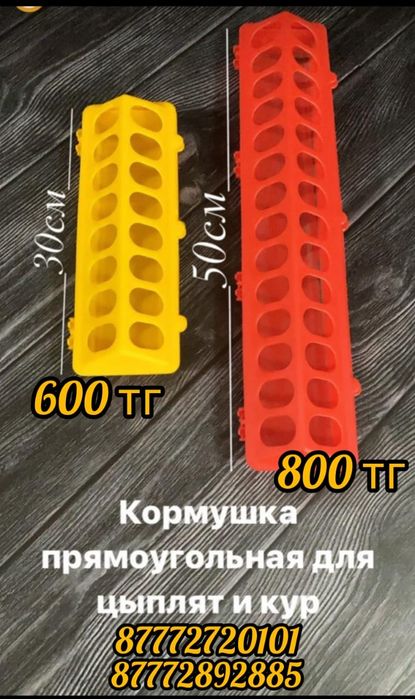 Кормушка 50 см лотковая для цыплят брудер бройлер несушка кур несушек