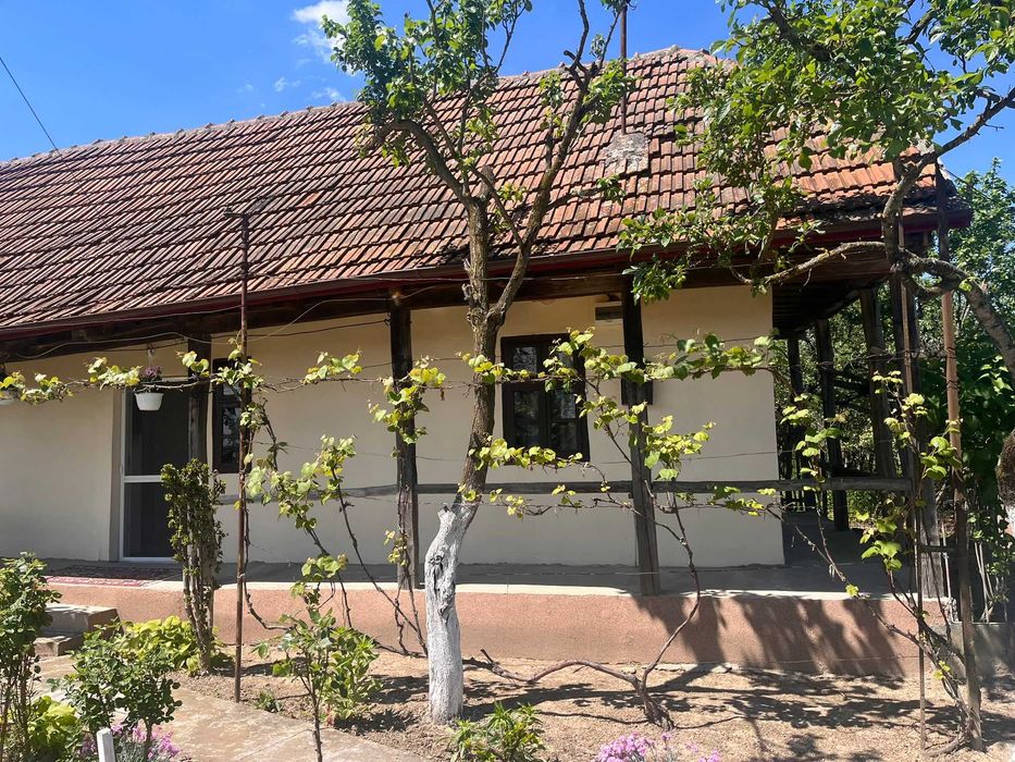 Casă de vânzare in jud.Satu Mare
