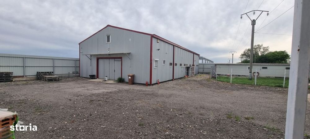 De Inchiriat Hala zona Cazasu