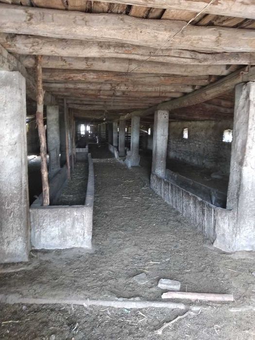 Хусусий ферма сотилади