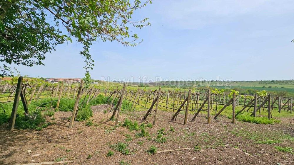 Продава се Промишлена сграда в Средец - 5500 кв.м за 15 €/кв.м - Снимка #19