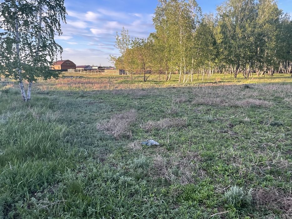 2 земельных участка