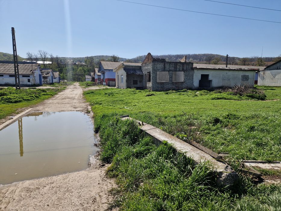 Vand teren intravilan 44113 mp la E85 - langa Bacau