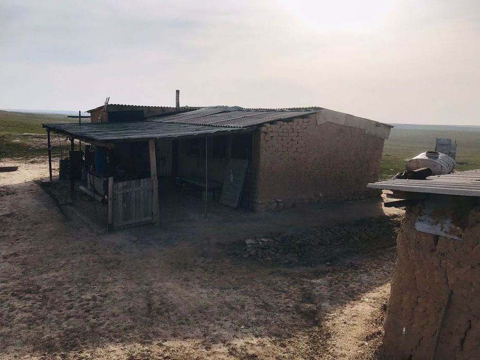 Кора сатылады жайылымдық жерімен