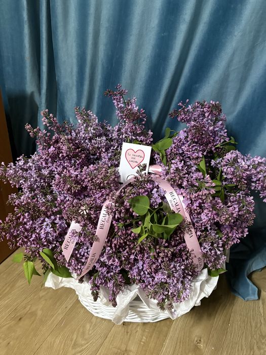 Сирень корзинка L размерде
