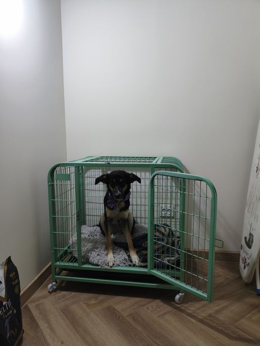 Клетка для собаки