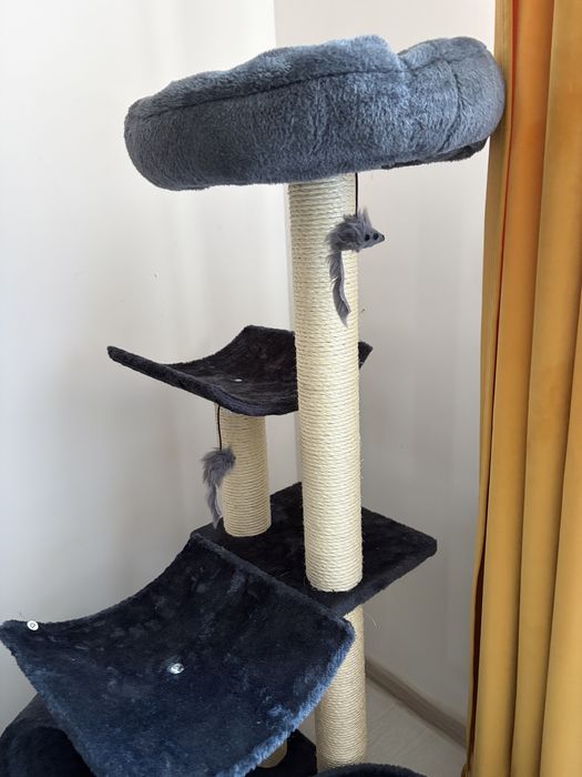 Ansamblu joaca pisici Zooplus